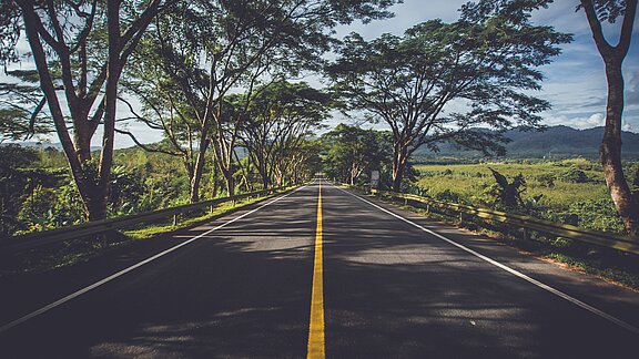 Eine Straße mit gelben Mittelstreifen mit Bäumen am Straßenrand